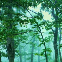 حواديت