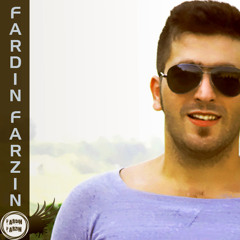 Fardin Farzin
