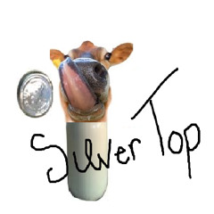 SilverTop