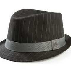 TheManInTheFedora