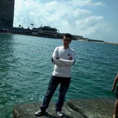 ali eltayer