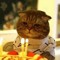 little_mac_chuchoax