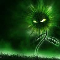 Jean Leyton Murillo Velez