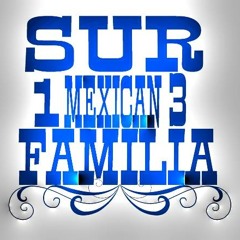 SUR MEXICAN FAMILIA