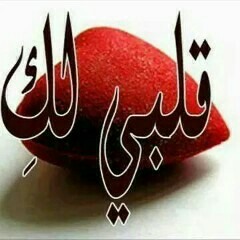 user854476180