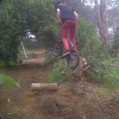 schalk2