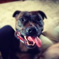 Tommy Jenson Cousins