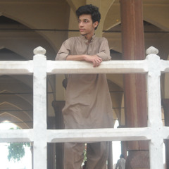 Rahat Fatha Ali Khan In Noble Peace Concert(2014)