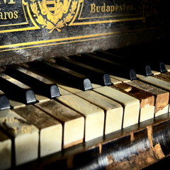 Philippe A.G.R. Janssens