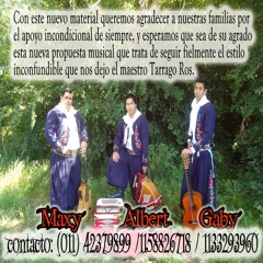 Alberto_Torres