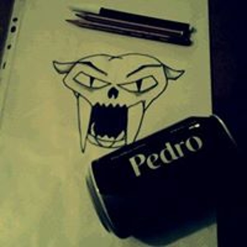 Pedro Queiroz’s avatar