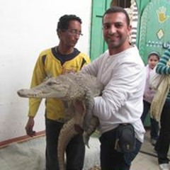 Islam Helmy