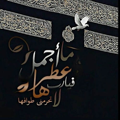 رسولي قوم ابو بكر سالم ( النسخة الاصلية )