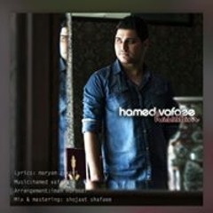 Hamed Vafaee