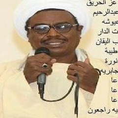 Tawfiq Saifuldeen Alsayid