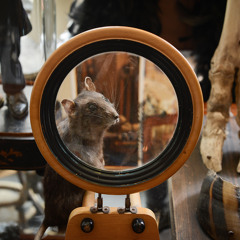 Steffen Petzold (the Rusted Dream Machine)