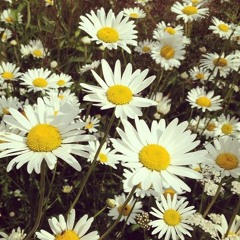 Nadya Harmain Hadiwibowo