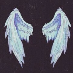 user468541637