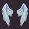 user468541637
