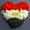 mohamed shawky