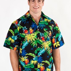 A Hawaiian Shirt