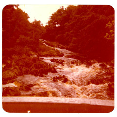 Claire Julia Fleming