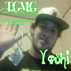 Yoshi TGMG