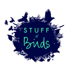 Stuff n' Birds