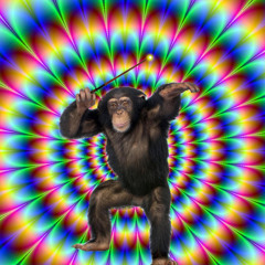 TheInvincibleMrSinsible