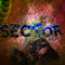 SECTOR