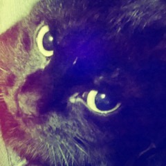 ♪♥♫ Я0Ѫ1ИØU ♫♥♪