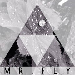 Mr.FLY