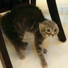 Nur Salawati Mohd Nadzri