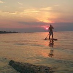 Gavin Quinn Campbell