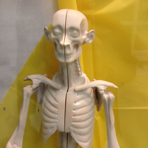 the polite way to introduce yourself