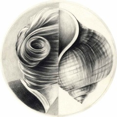 Thibault Deboaisne