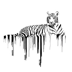 WhiteTiger