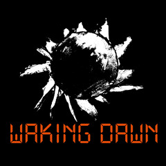 Waking Dawn