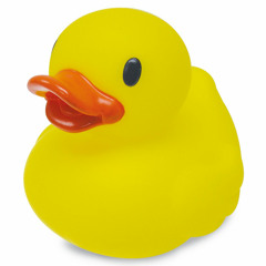 Ente