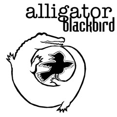 alligatorblackbird