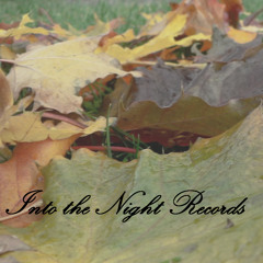 Into The Night Records