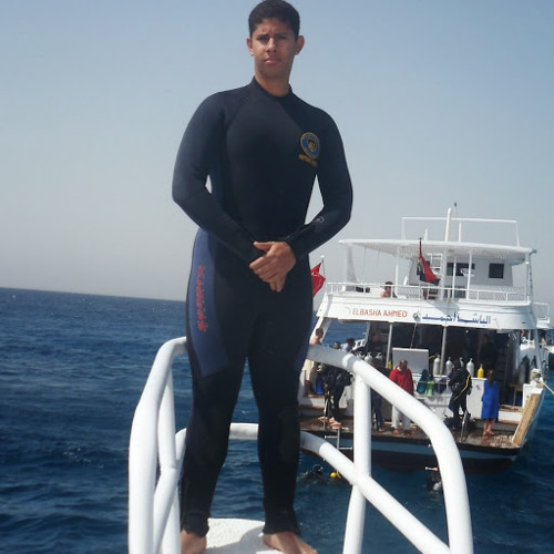 Mohamed  Arafa’s avatar