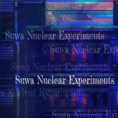 Suwa Nuclear Experiments