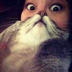 Dario Rican Hernandez