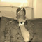 thechriz87nvp