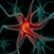 redneuron