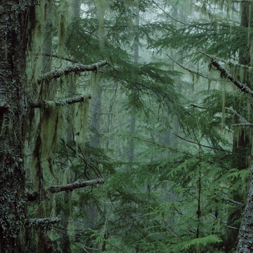 Progressive House? Attempt