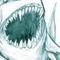 northern shark