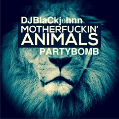 KSHMR feat. Sidnie Tipton - Wild Card (DJBlaCkj0hnn Party Starter Hype Edit)