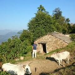 Aman Malhotra